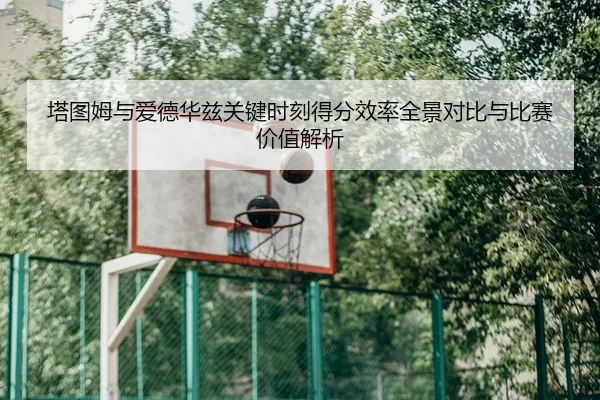 塔图姆与爱德华兹关键时刻得分效率全景对比与比赛价值解析